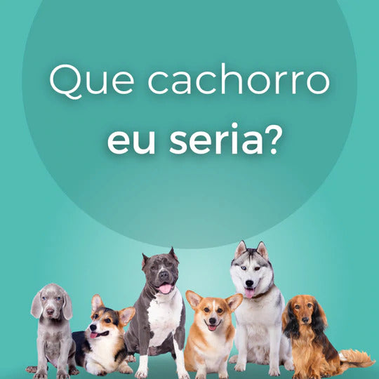 Que cachorro eu seria?