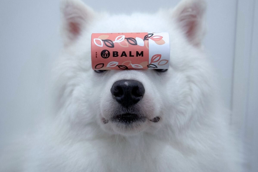 Weasy Balm: o bastão de cuidado pra pele dos peludos