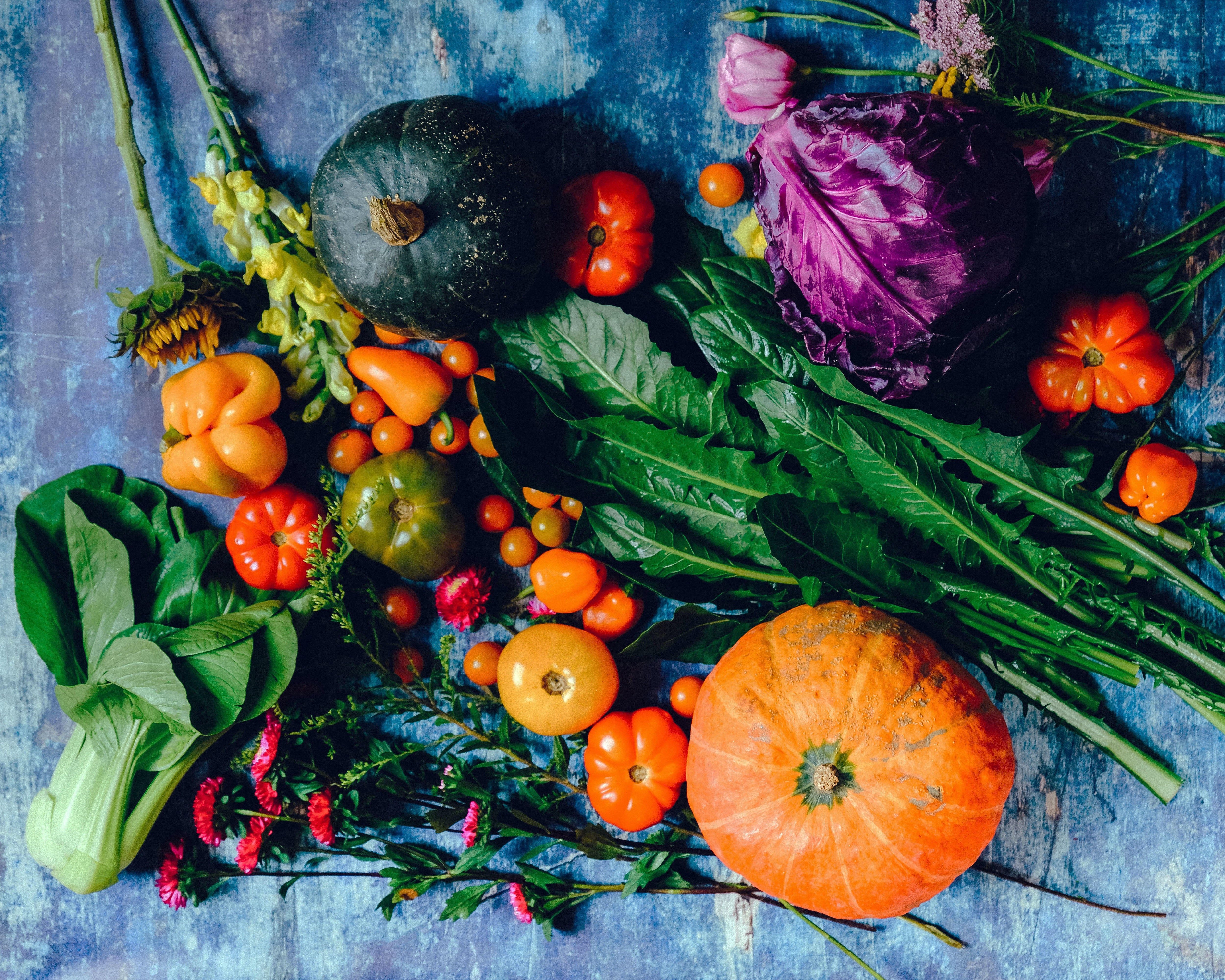 Comida de gente? Vem ver 35 alimentos que pode oferecer, e 10 proibidos pros peludos!