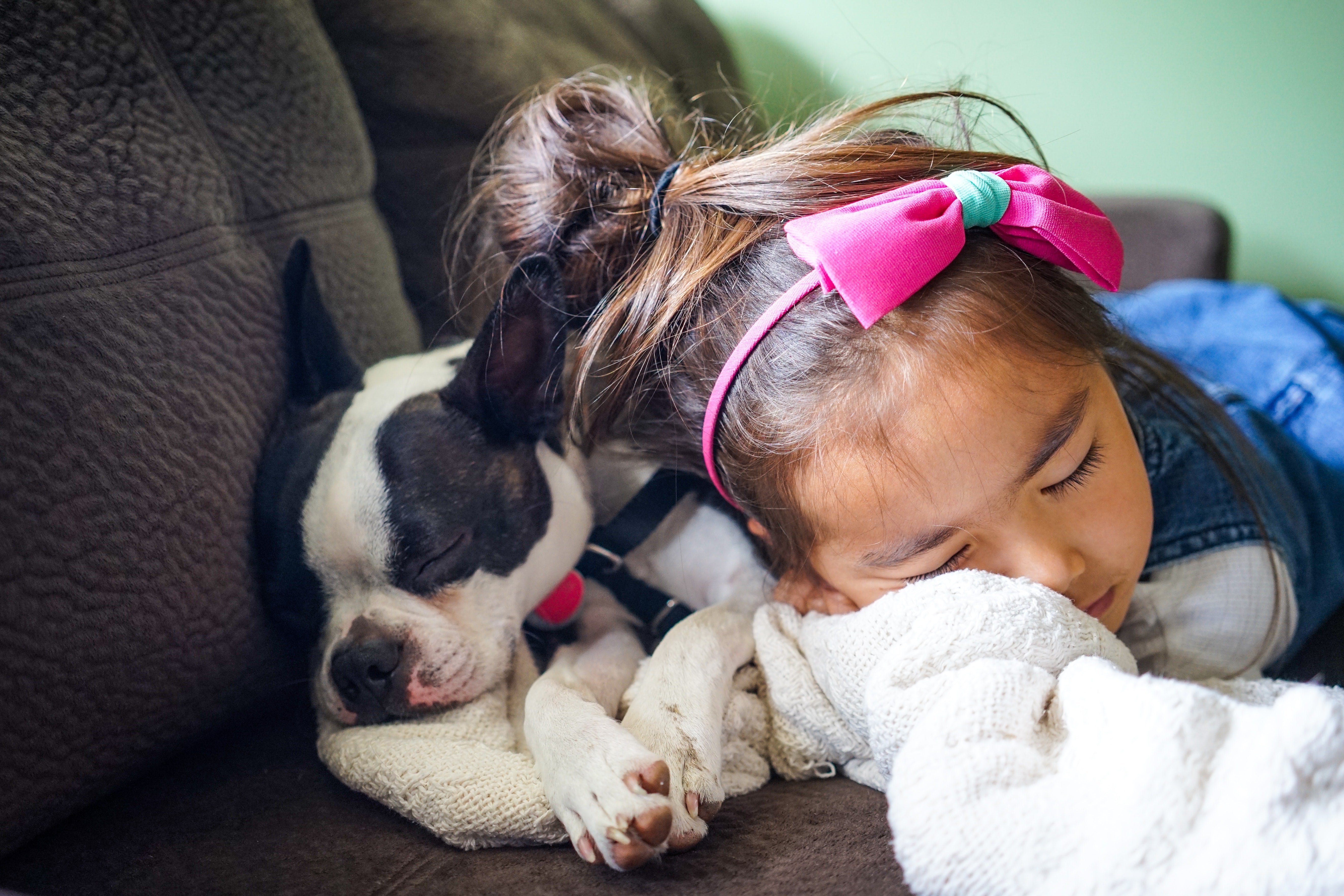 Pack 6 melhores momentos: crianças e seus melhores amigos, os pets!