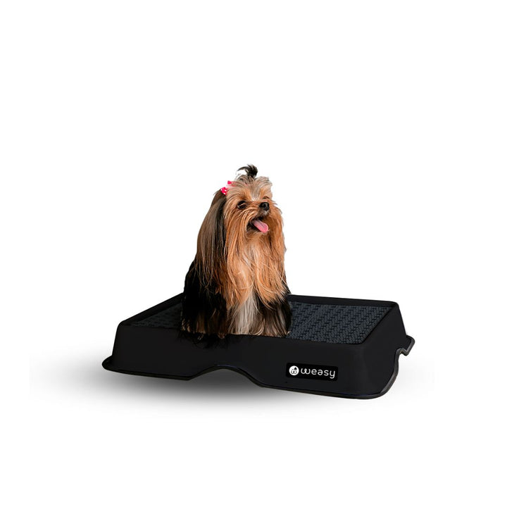Weasy Cão - Mini