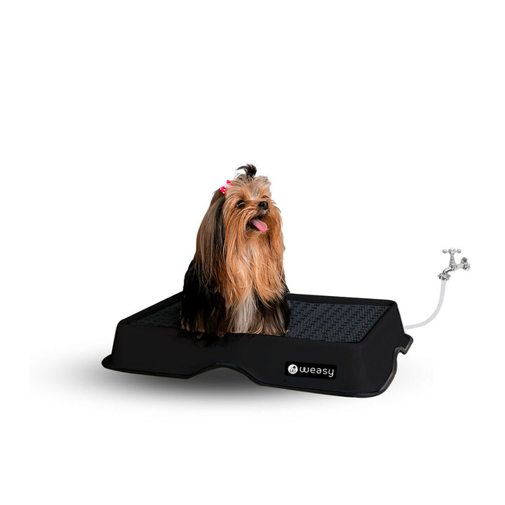 Weasy Cão - Mini