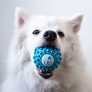 Bolinha