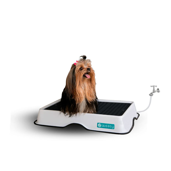 Weasy Cão - Mini