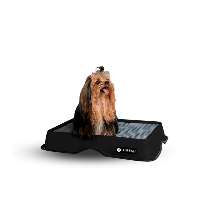 Weasy Cão - Mini