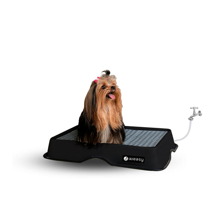 Weasy Cão - Mini