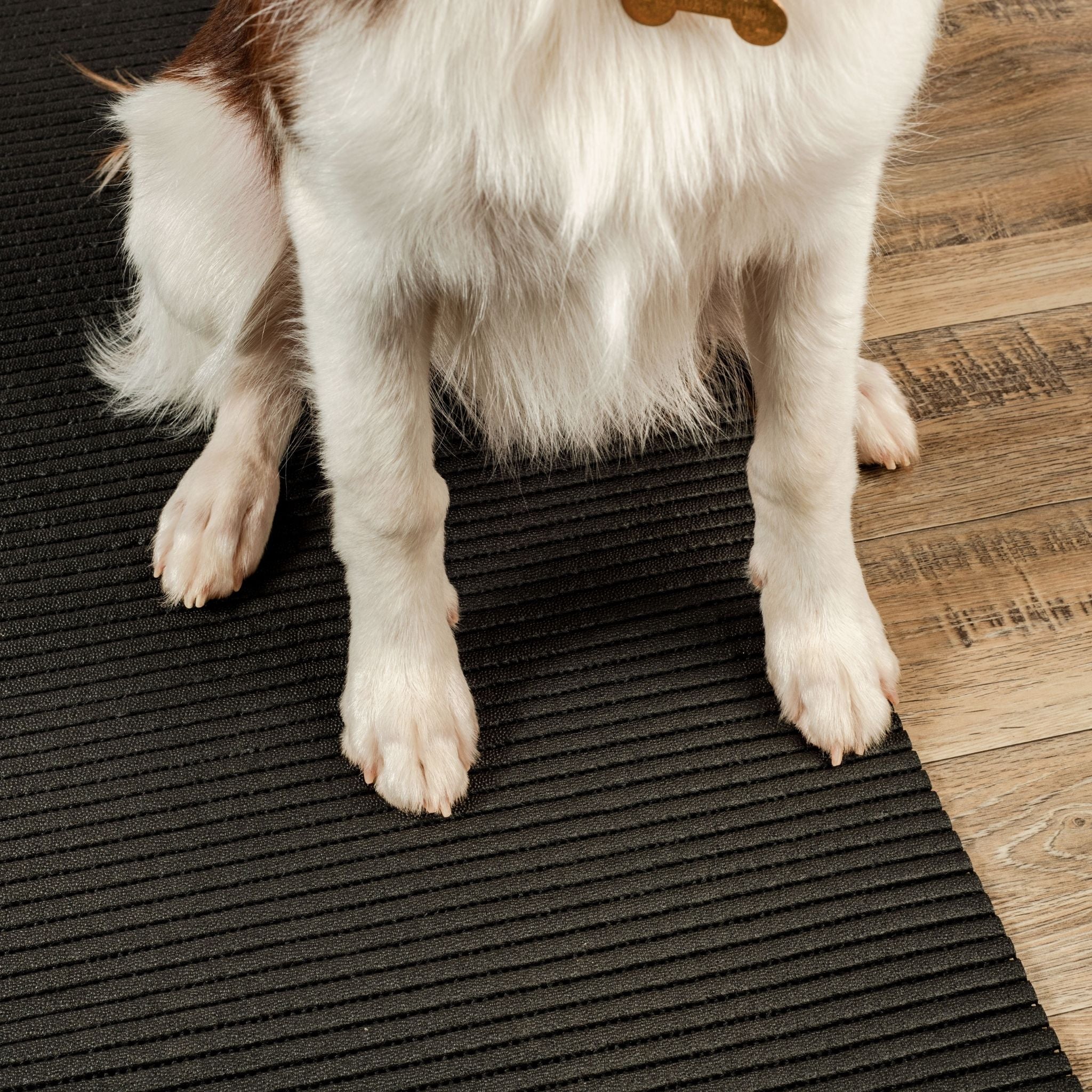 Tapete Antiderrapante