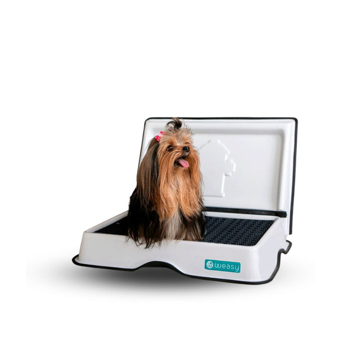 Weasy Cão - Mini