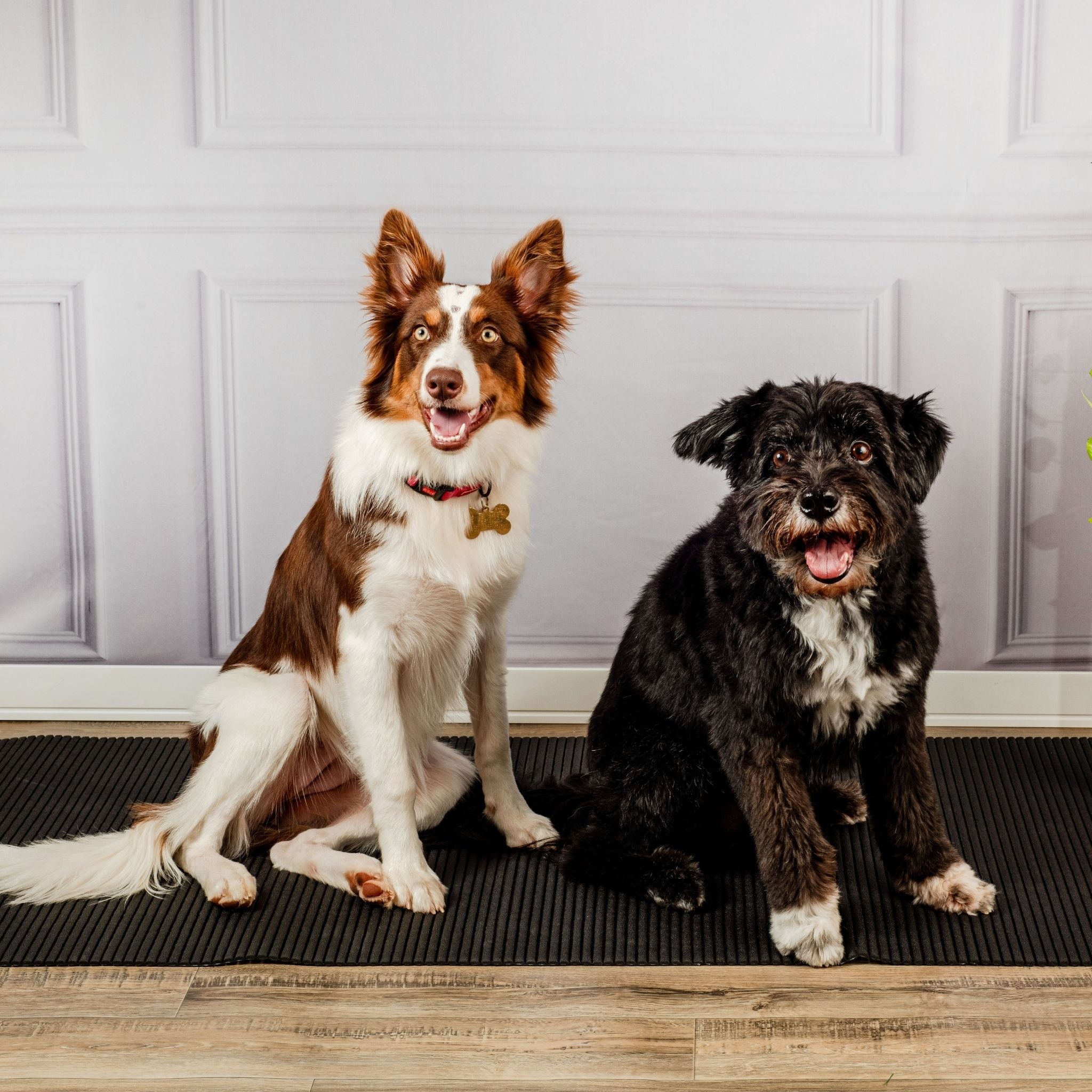 Tapete Antiderrapante