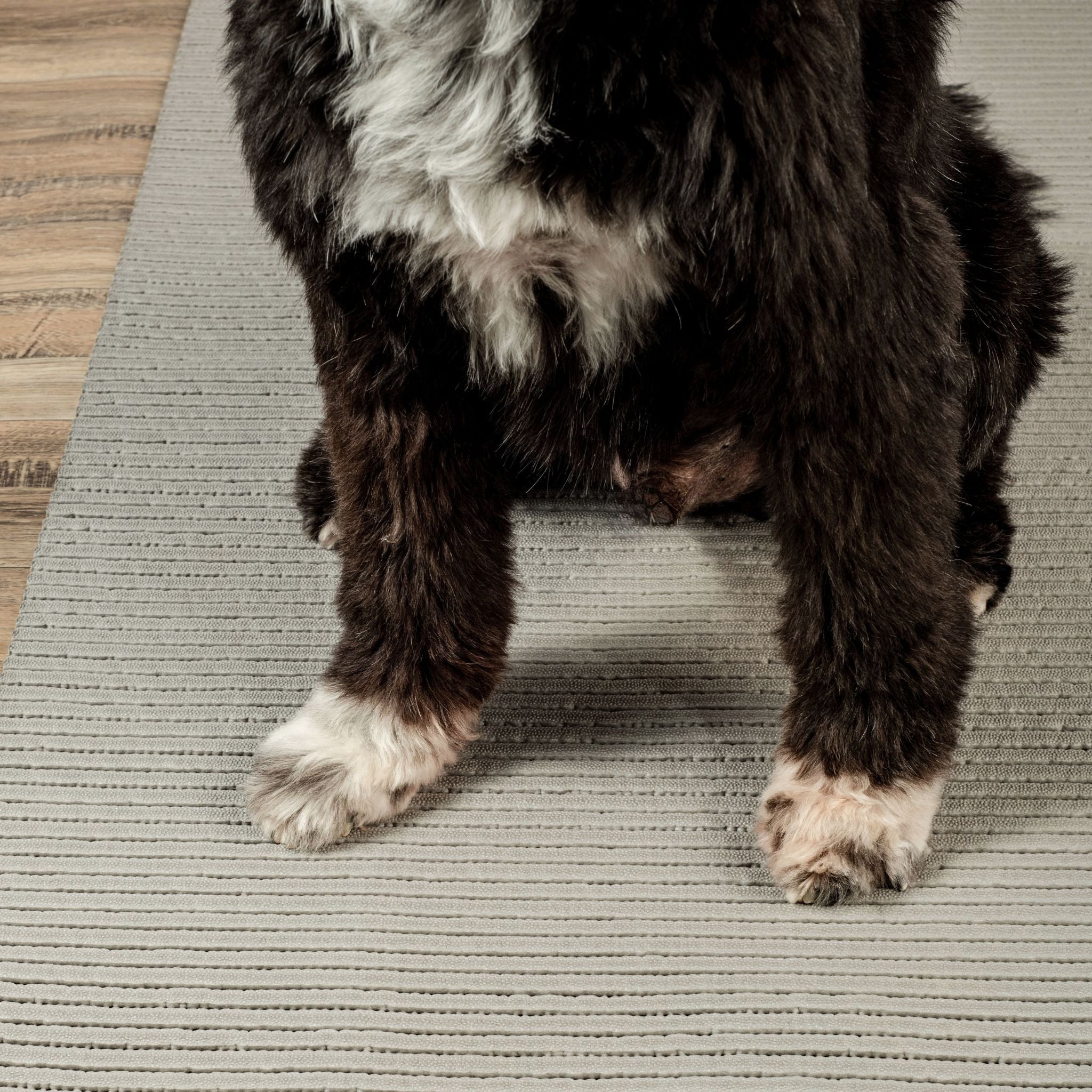 Tapete Antiderrapante