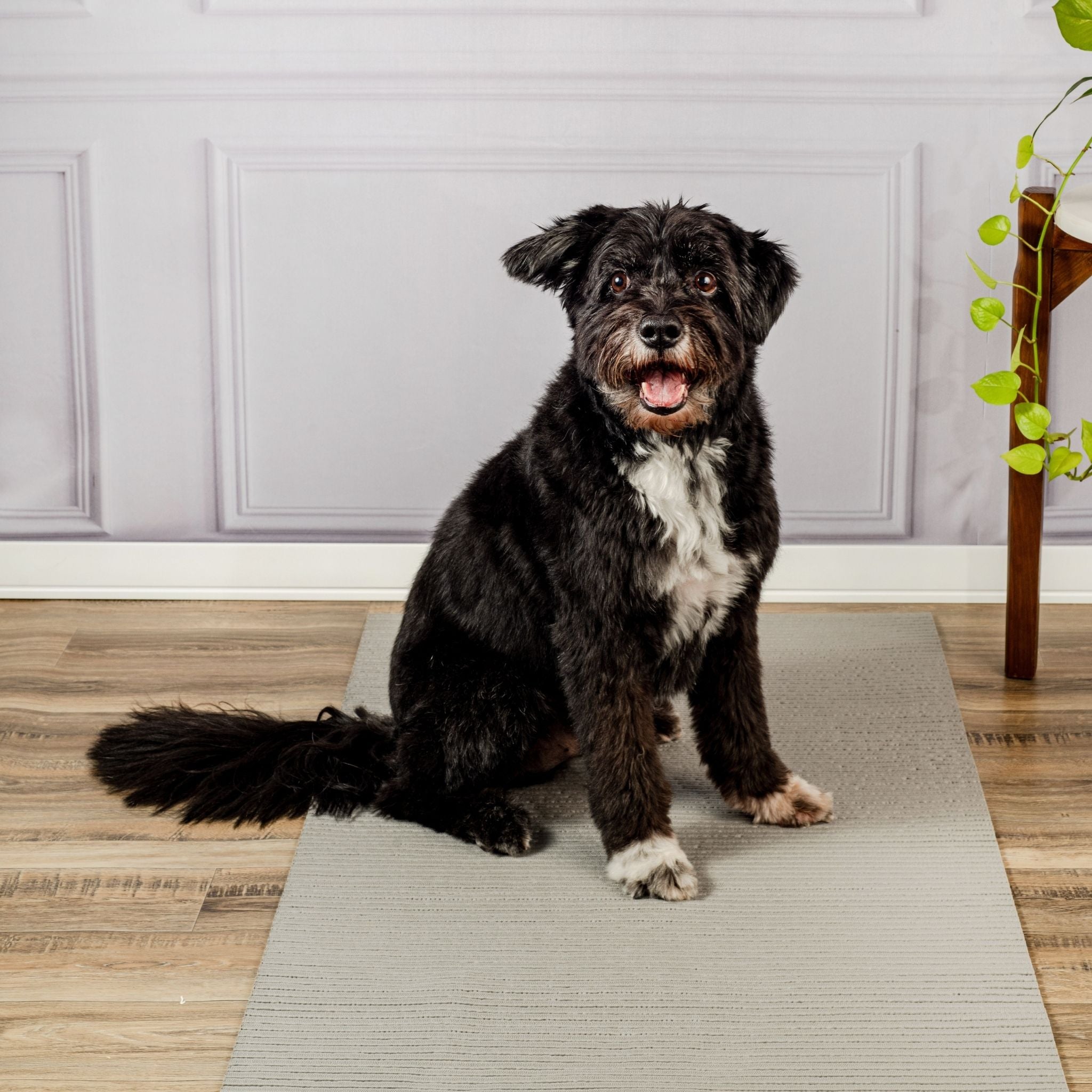 Tapete Antiderrapante