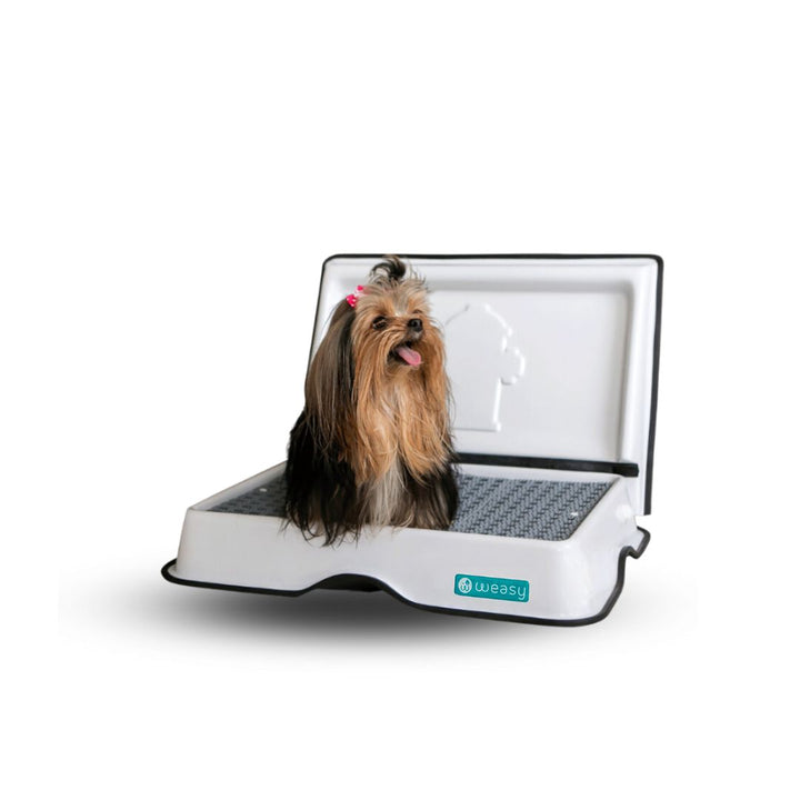 Weasy Cão - Mini