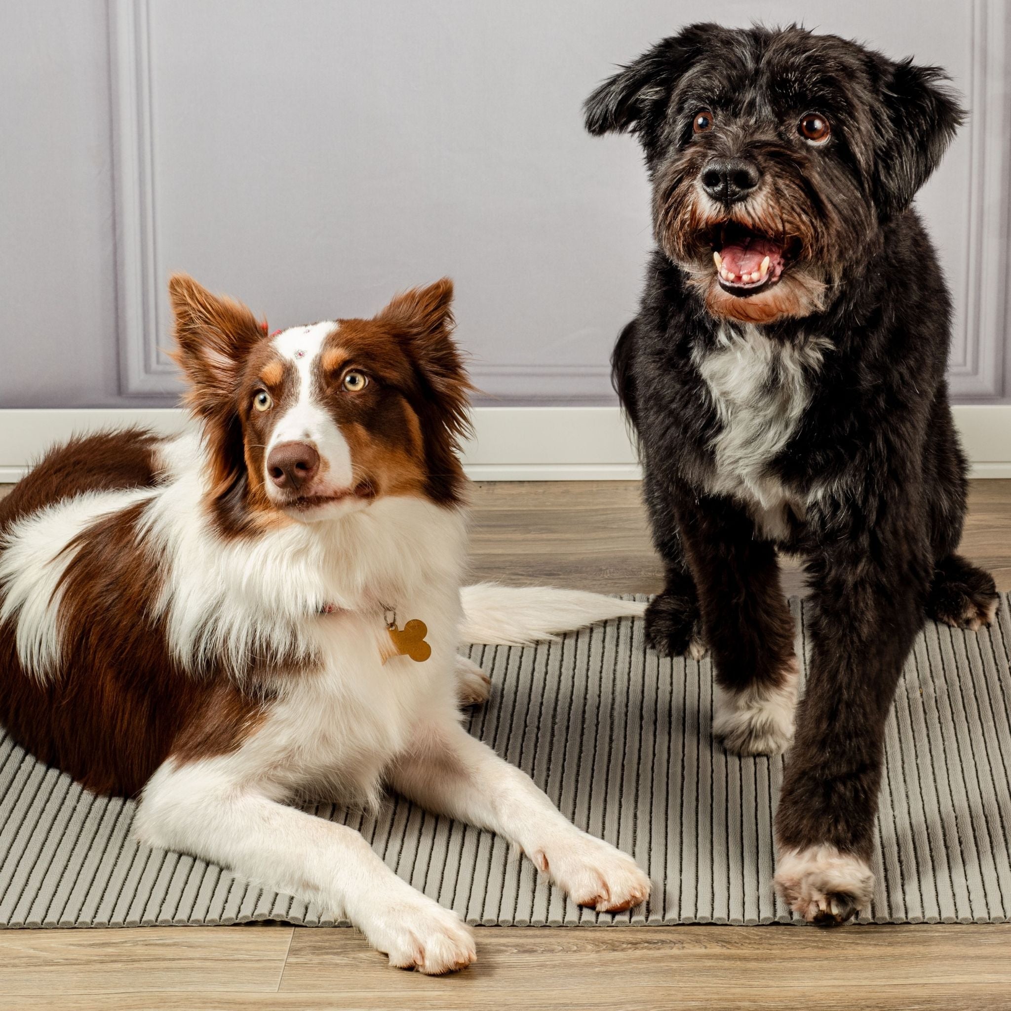 Tapete Antiderrapante