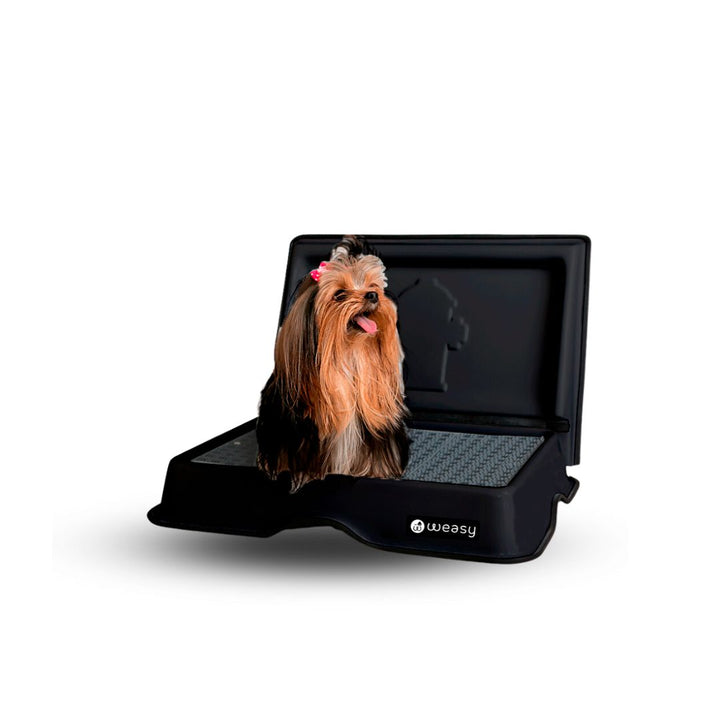 Weasy Cão - Mini