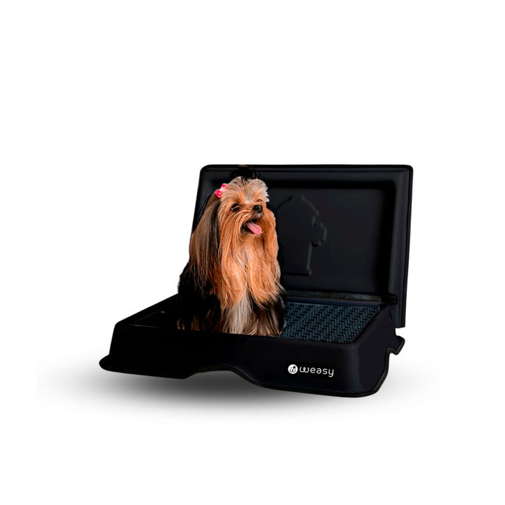 Weasy Cão - Mini