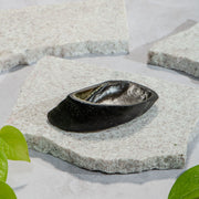 Casco Bovino
