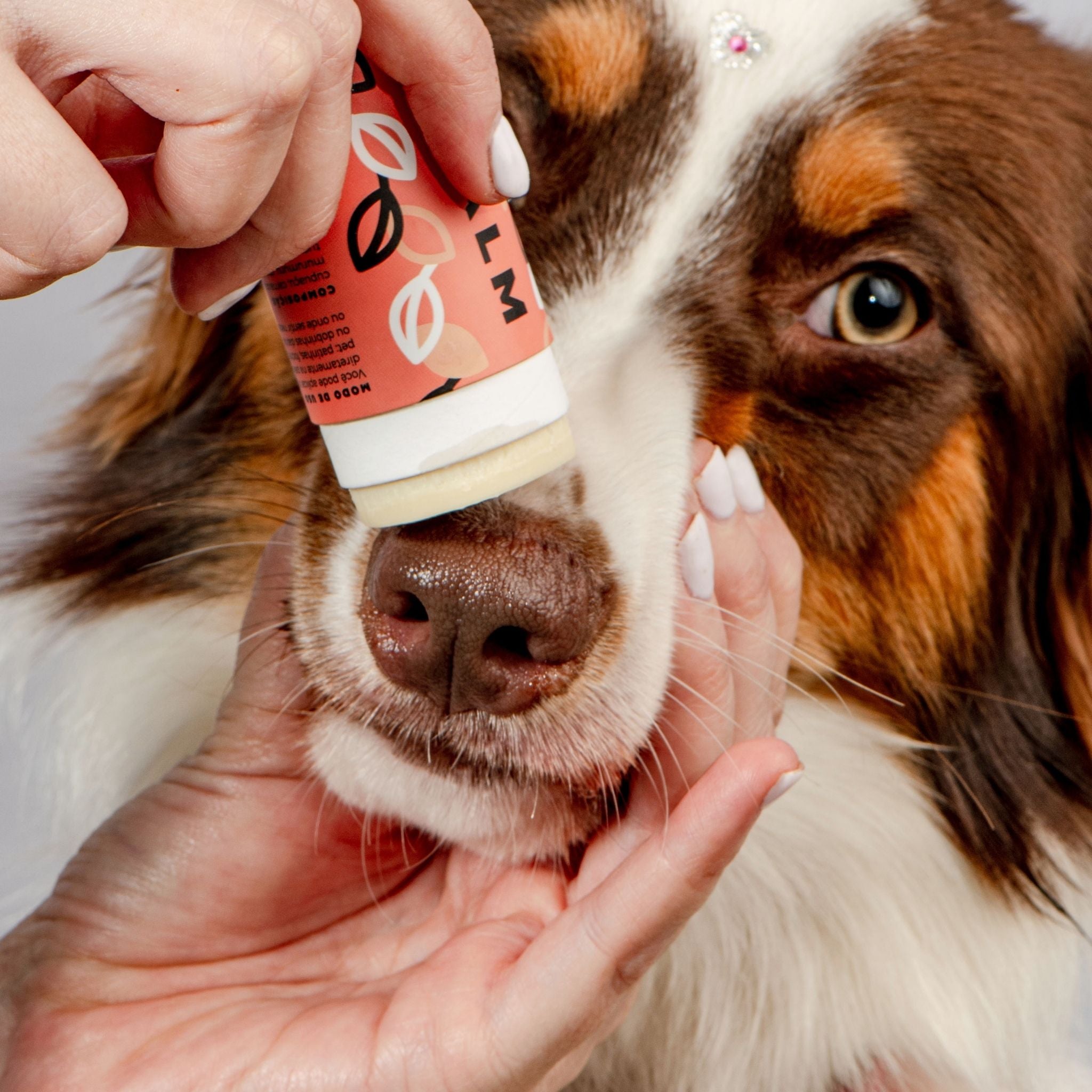 Weasy Balm | Hidratante pet