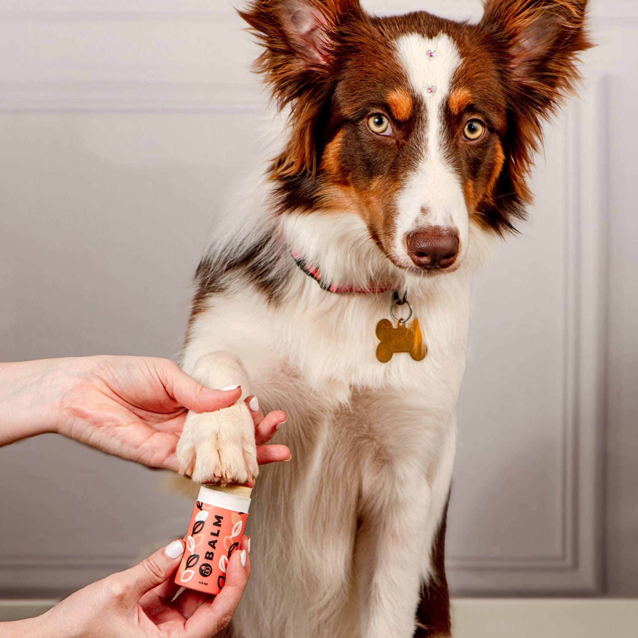 Weasy Balm | Hidratante pet