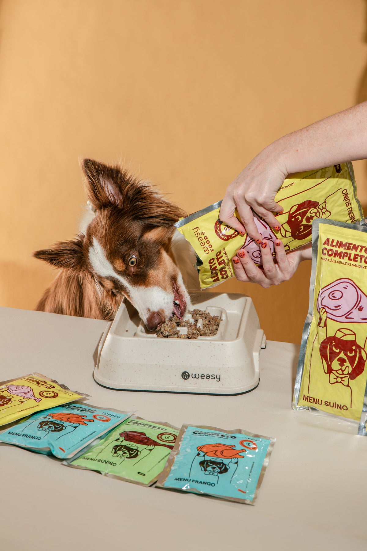 Cão saboreando Weasy Food enquanto a refeição é servida