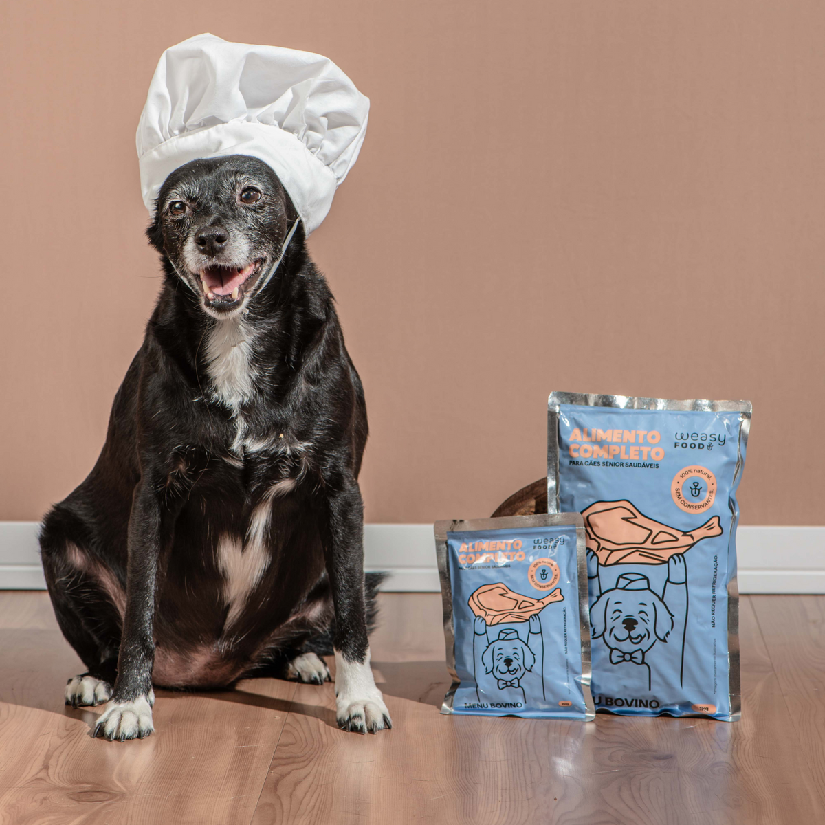 Weasy Food Sênior | Alimentação natural para cães