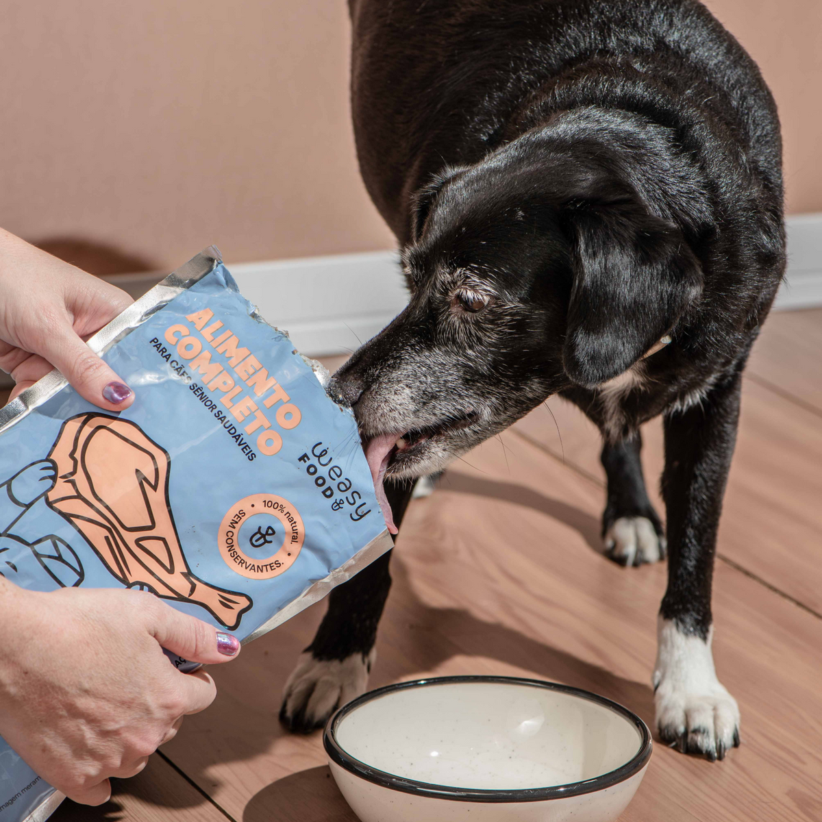 Weasy Food Sênior | Alimentação natural para cães