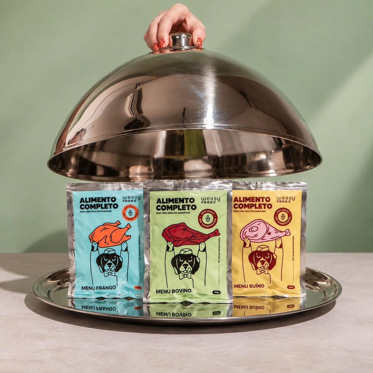 Weasy Food Adultos | Alimentação natural para cães