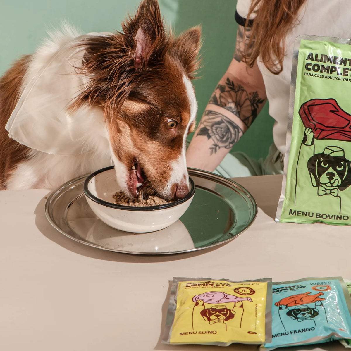 Weasy Food Adultos | Alimentação natural para cães