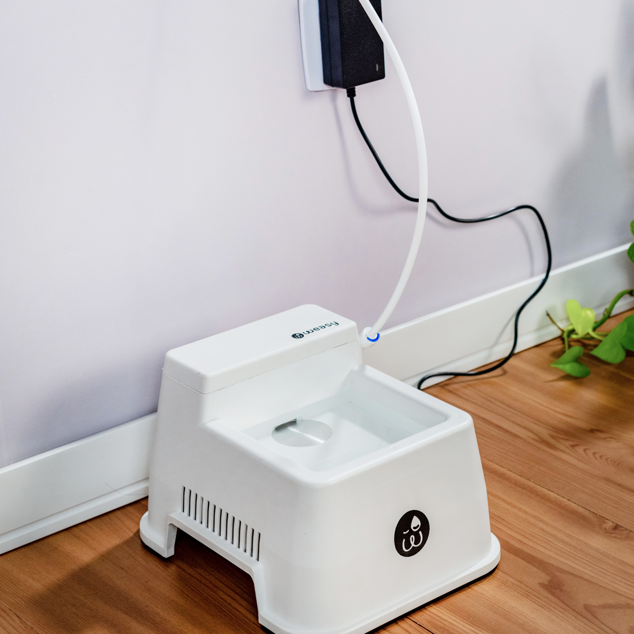 Weasy Oásis e Oásis Ice