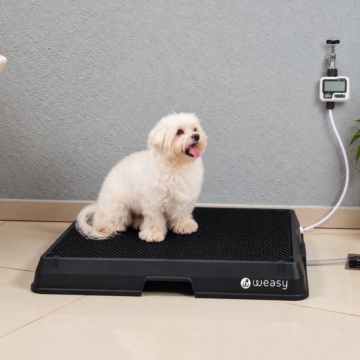 Weasy Cão | Banheiro inteligente para cachorro