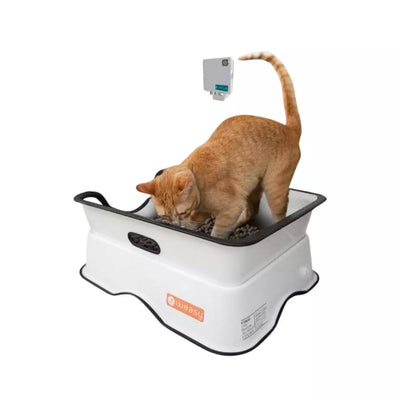 Weasy Gato