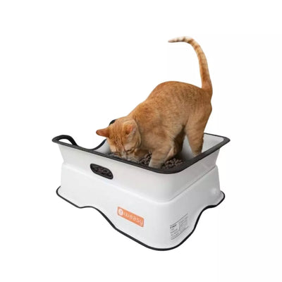Weasy Gato