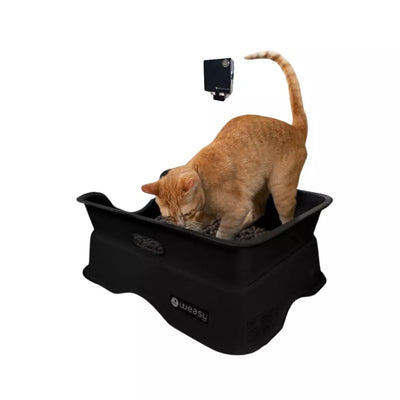 Weasy Gato