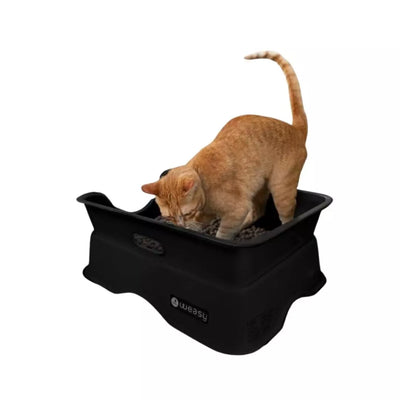 Weasy Gato